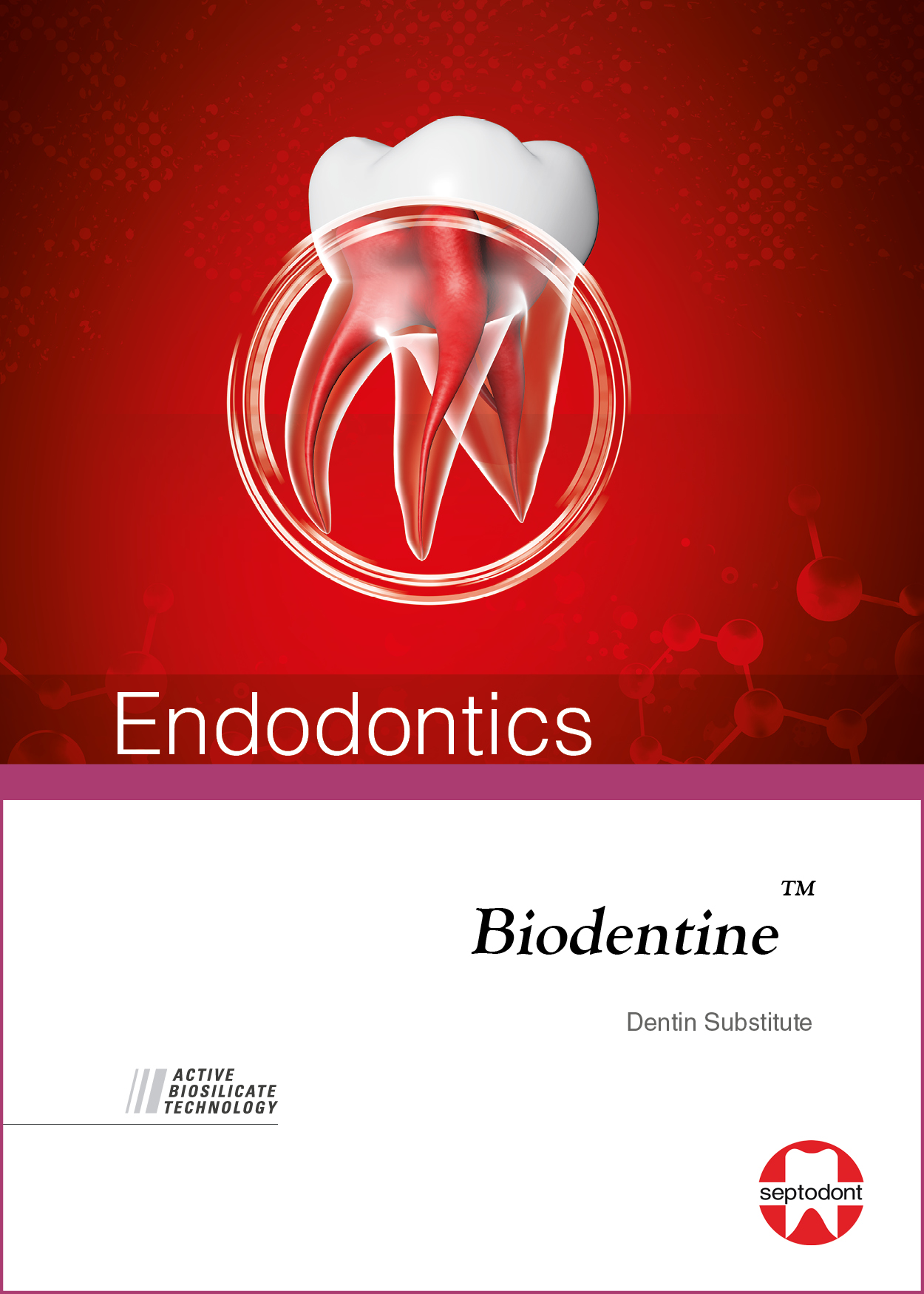 Biodentine - Endo